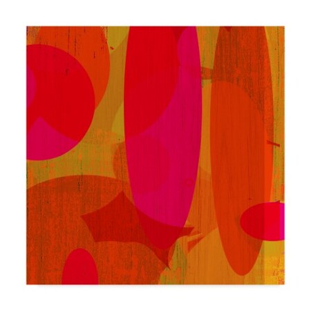 Trademark Fine Art Ricki Mountain 'Warm Ellipses Ii' Canvas Art, 24x24 WAG03202-C2424GG